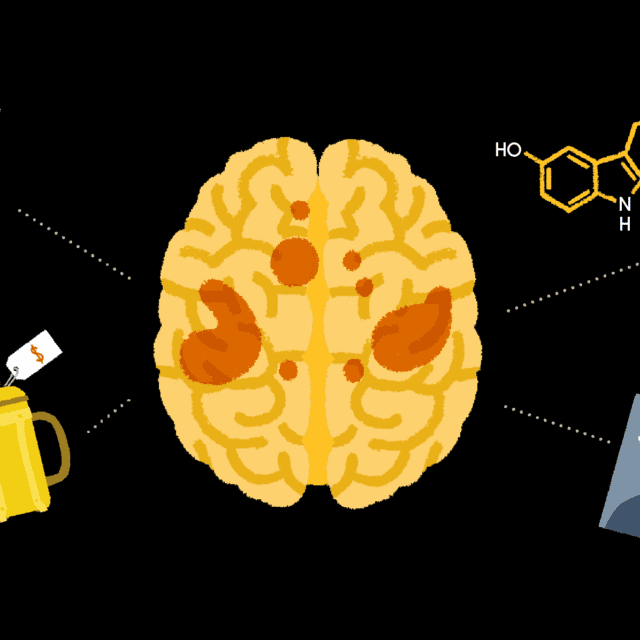 Illustration: stylized image of a brain and icons representing things and experiences people can buy